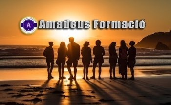 Amadeus Formació